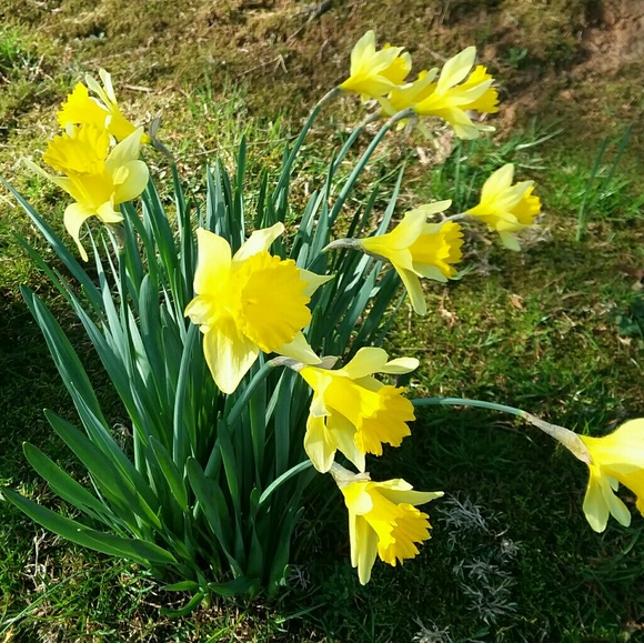 Meet your Posher, Beth - Picture 1 of 1